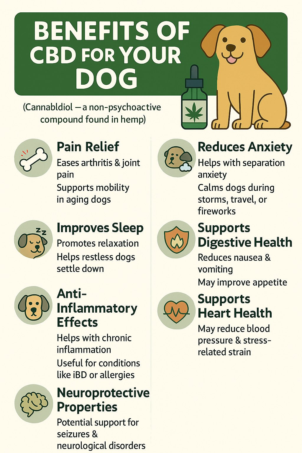 Wildflowrr CBD Beef Treats for Small Dogs