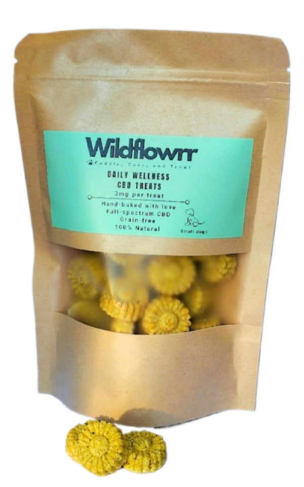 Wildflowrr CBD Beef Treats for Small Dogs