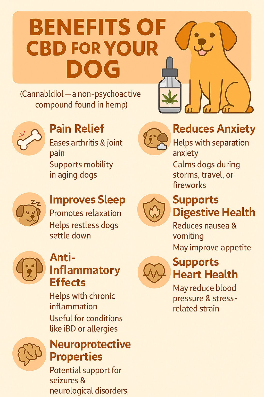 Wildflowrr CBD Beef Treats for Med/Large Dogs